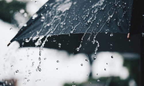 Qué hacer cuando llueve Qué hacer cuando llueve